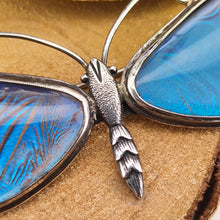 Load image into Gallery viewer, A large blue morpho butterfly wing butterfly brooch in silver, close-up