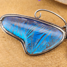 Load image into Gallery viewer, A large blue morpho butterfly wing butterfly brooch in silver, close-up