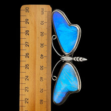 Load image into Gallery viewer, A large blue morpho butterfly wing butterfly brooch in silver, next to a ruler