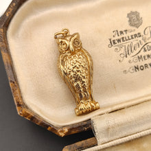 Load image into Gallery viewer, Vintage 9ct Gold Owl Charm | Hallmarked Birmingham 1989