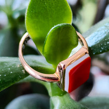 Load image into Gallery viewer, Victorian 15ct Gold Agate Tablet Ring side, on plant
