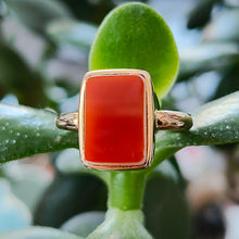 Load image into Gallery viewer, Victorian 15ct Gold Agate Tablet Ring on plant