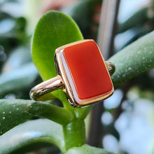 Load image into Gallery viewer, Victorian 15ct Gold Agate Tablet Ring on plant