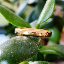 Load image into Gallery viewer, Art Deco 22ct Gold Wedding Band on plant
