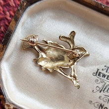 Load image into Gallery viewer, Vintage 9ct Gold Diamond &amp; Sapphire Bird Brooch back
