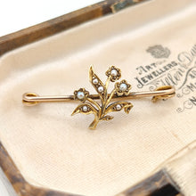 Load image into Gallery viewer, A yellow gold floral bar brooch with seed pearls, in an antique box

