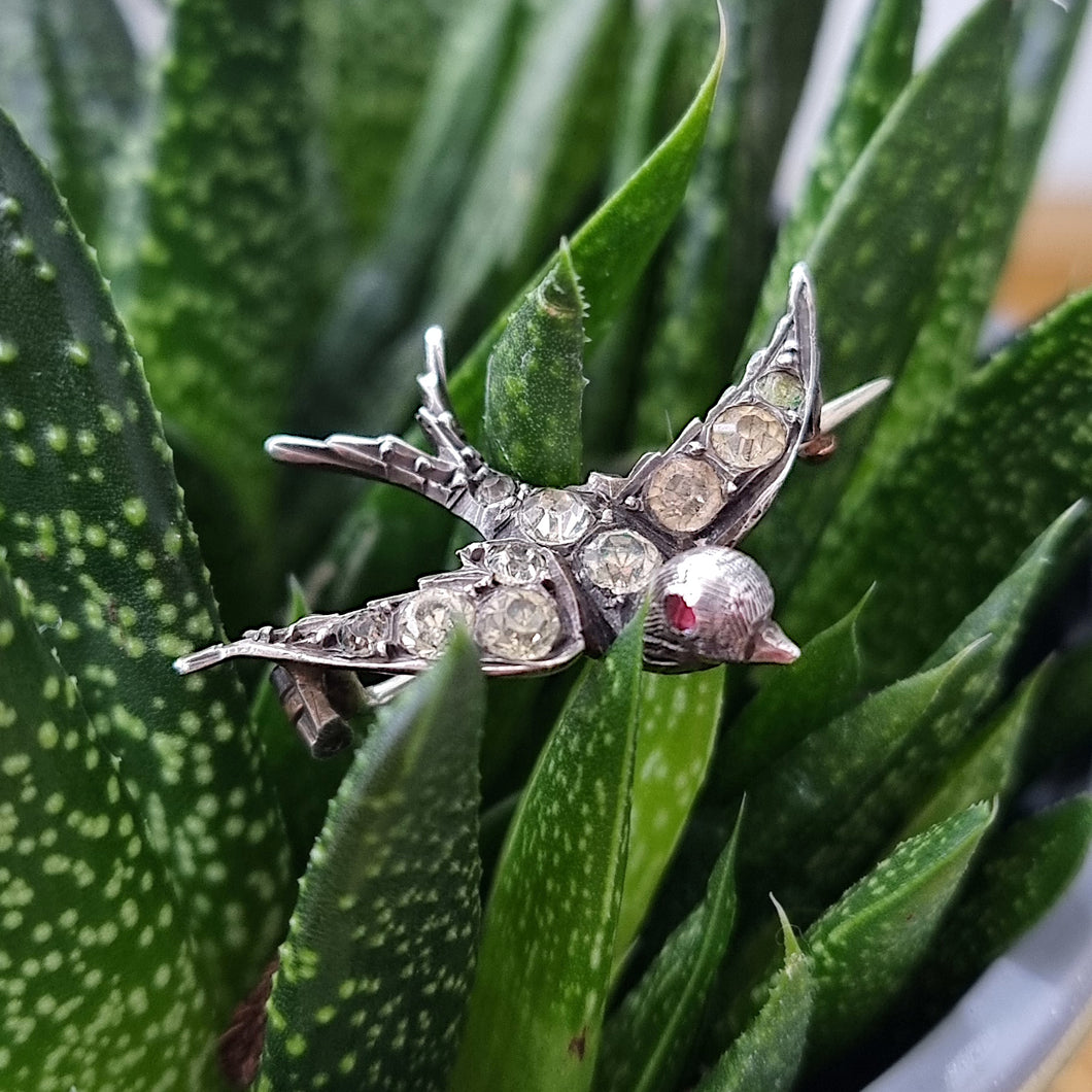 Victorian Silver and Paste Swallow Brooch front