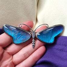 Load image into Gallery viewer, A large blue morpho butterfly wing butterfly brooch in silver, held in a hand
