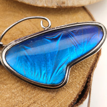 Load image into Gallery viewer, A large blue morpho butterfly wing butterfly brooch in silver, close-up
