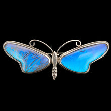 Load image into Gallery viewer, A large blue morpho butterfly wing butterfly brooch in silver, on a black background
