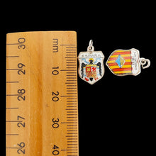 Load image into Gallery viewer, Enamelled silver shield charms next to a ruler, on a black background
