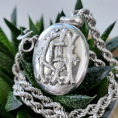 Antique Silver Amity, Eternity, Infinity Locket with Rope Chain in plant