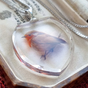 Sterling Silver Glass Robin Pendant with Box Chain side