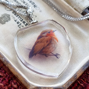 Sterling Silver Glass Robin Pendant with Box Chain back