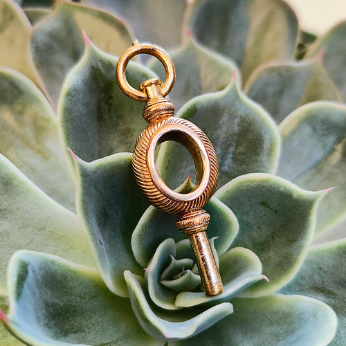 Antique Yellow Metal Watch Key Pendant with plant