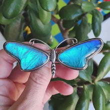 Load and play video in Gallery viewer, Vintage Art Deco Silver Blue Morpho Butterfly Wing Large Butterfly Brooch
